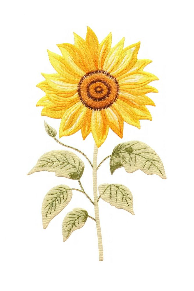 Cute sunflower pattern plant white background. AI generated Image by rawpixel.