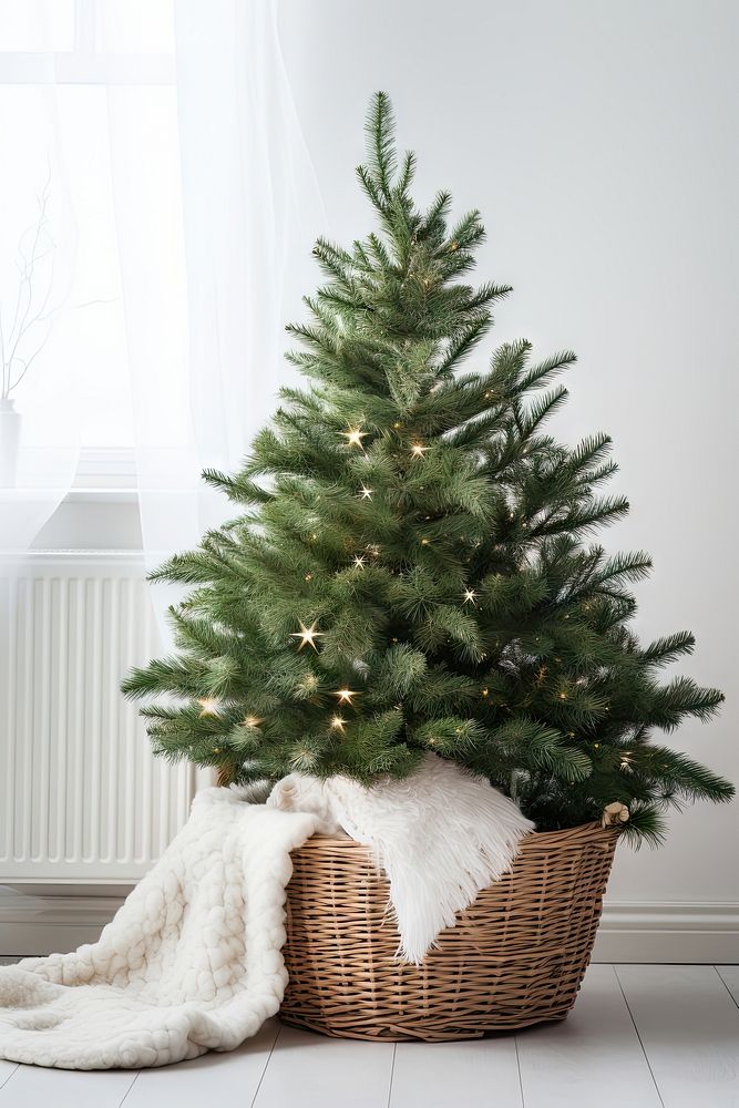 Green christmas tree basket plant white. AI generated Image by rawpixel.