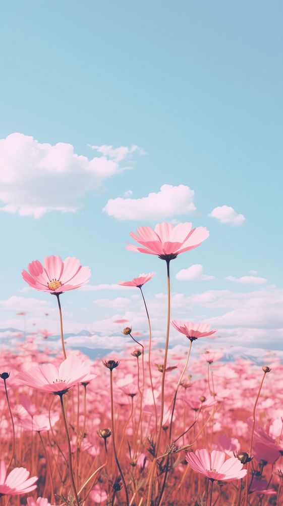 Flower landscape outdoors blossom nature. AI generated Image by rawpixel.