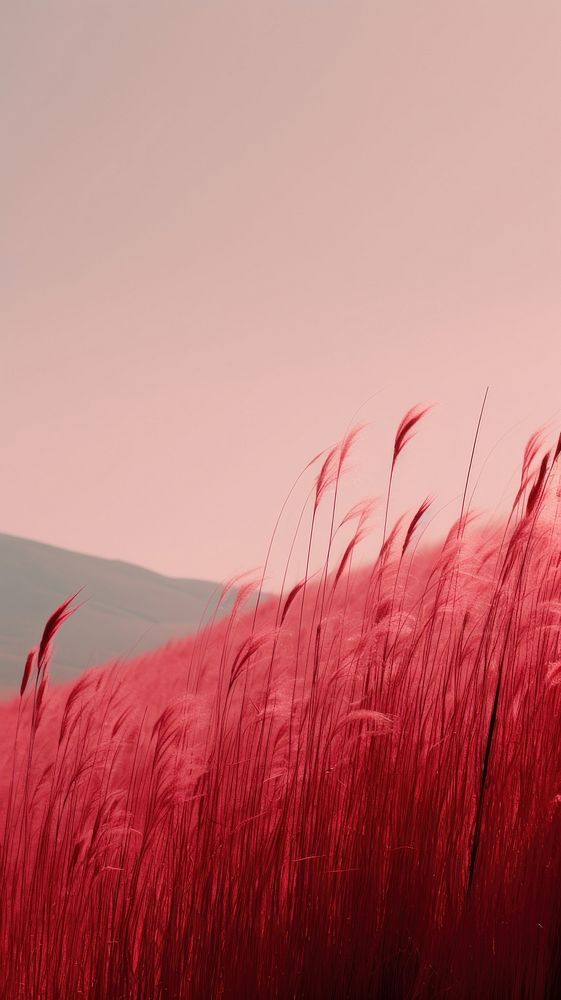 Red Grass Meadow grass outdoors nature. AI generated Image by rawpixel.