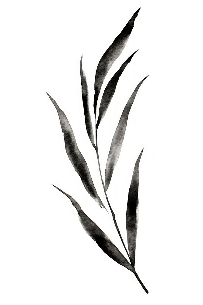 Rosemary leave plant black leaf. AI generated Image by rawpixel.