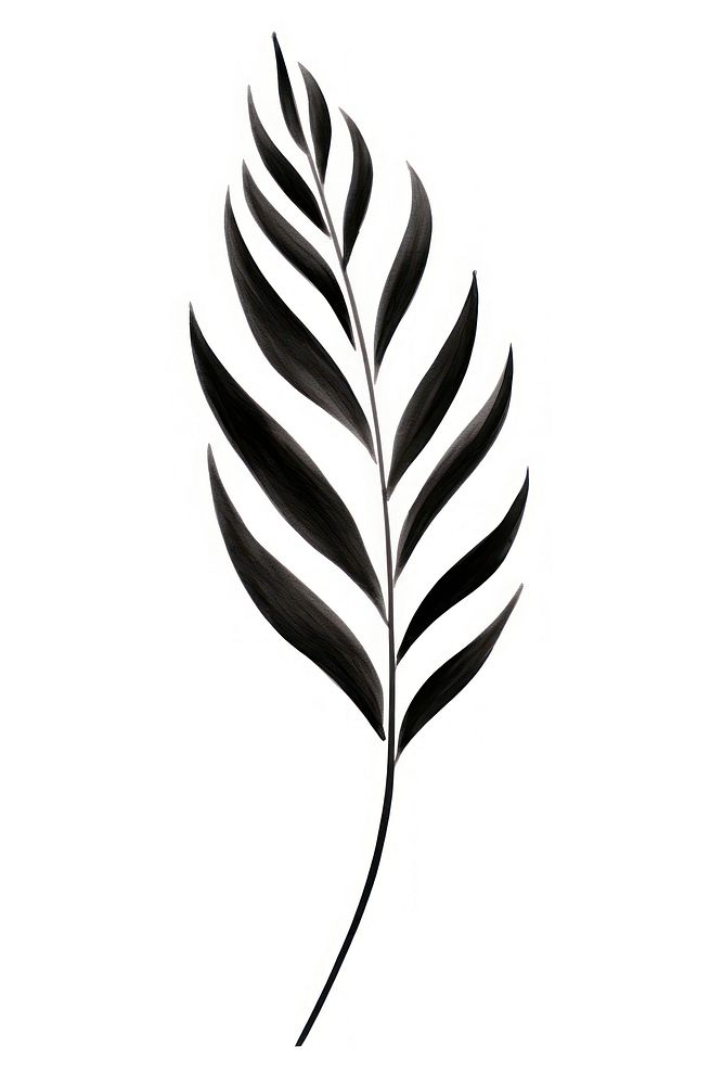 Plant leaf line white background monochrome. AI generated Image by rawpixel.