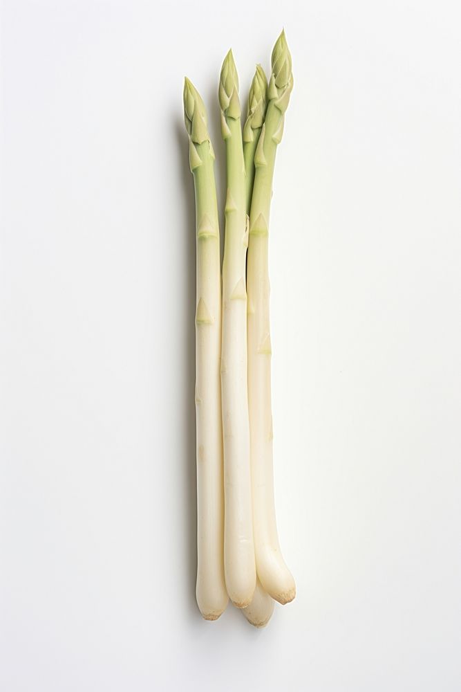 White asparagus vegetable plant food. AI generated Image by rawpixel.