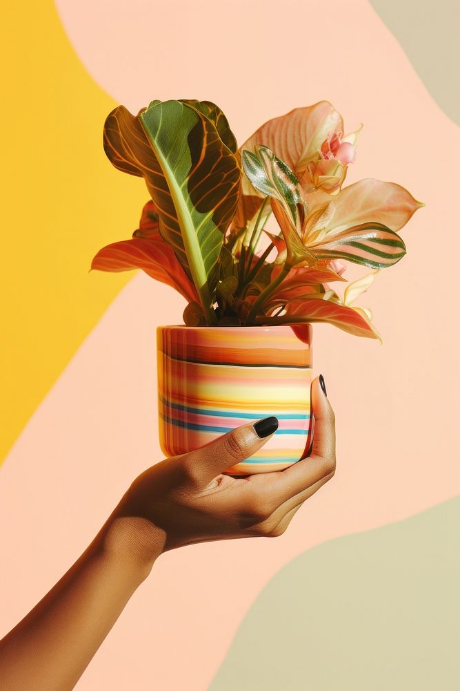 Hand holding plant pot pottery adult vase. AI generated Image by rawpixel.