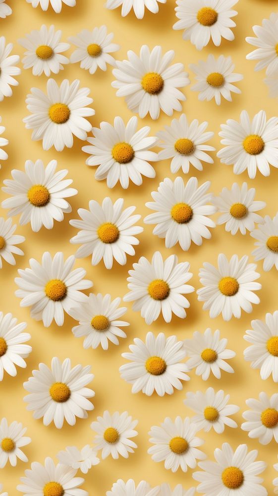 Chamomile flower backgrounds pattern petal. AI generated Image by rawpixel.
