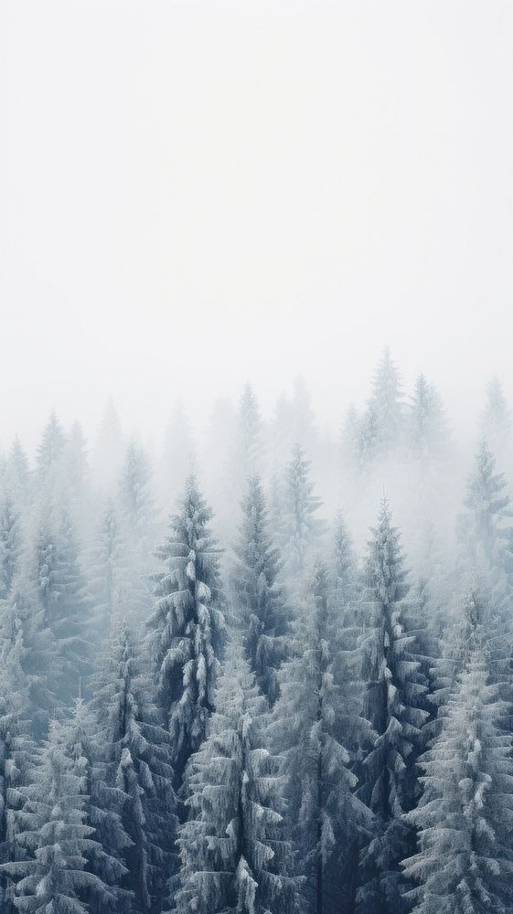 Snow pine trees outdoors nature forest. AI generated Image by rawpixel.
