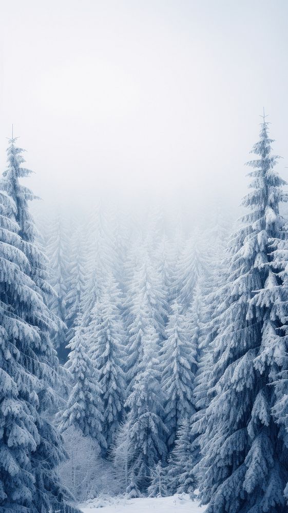 Snow pine trees outdoors woodland nature. AI generated Image by rawpixel.