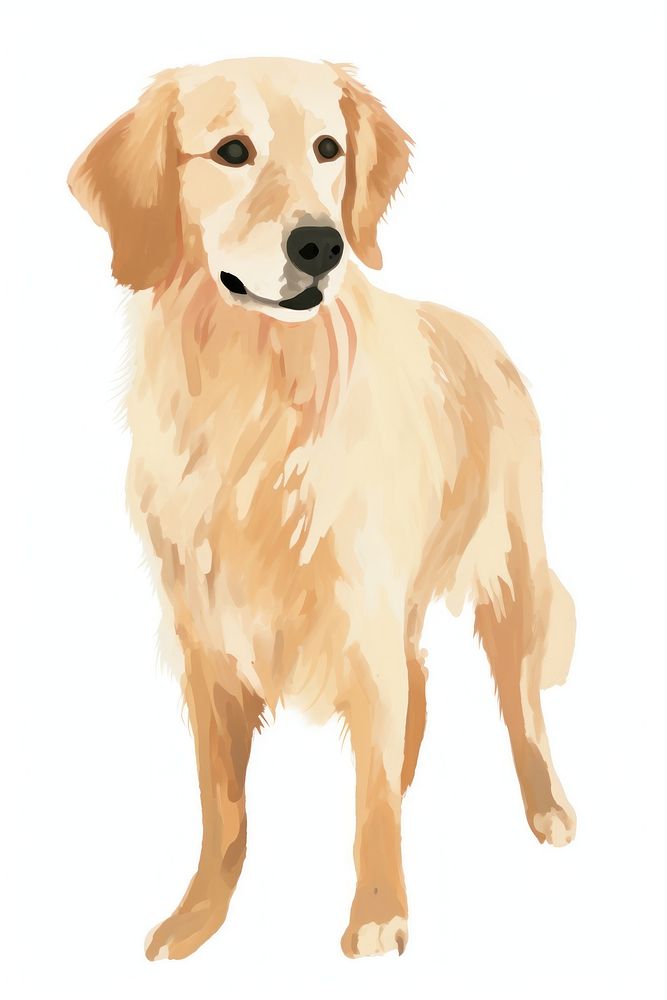 Golden retriever dog mammal animal pet. AI generated Image by rawpixel.