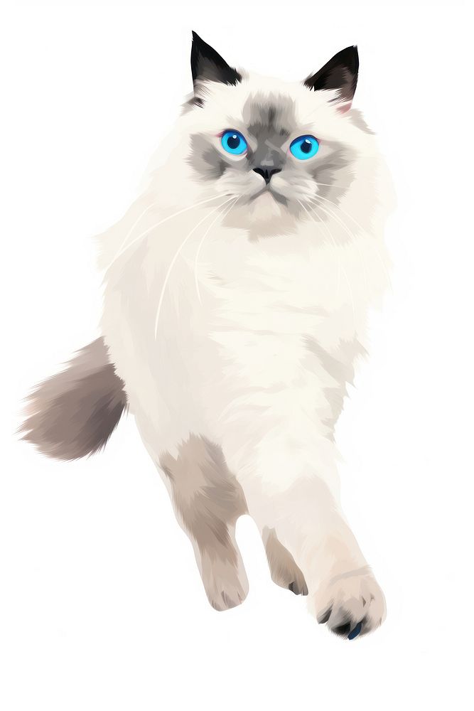 Ragdoll Cat animal mammal white. AI generated Image by rawpixel.