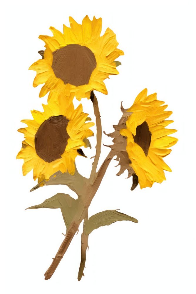 Bouquet sunflower plant white background inflorescence. AI generated Image by rawpixel.