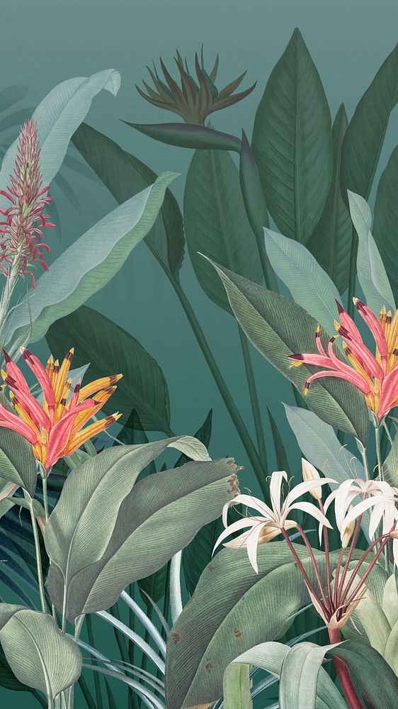 Vintage jungle iPhone wallpaper. Remixed | Premium Photo Illustration