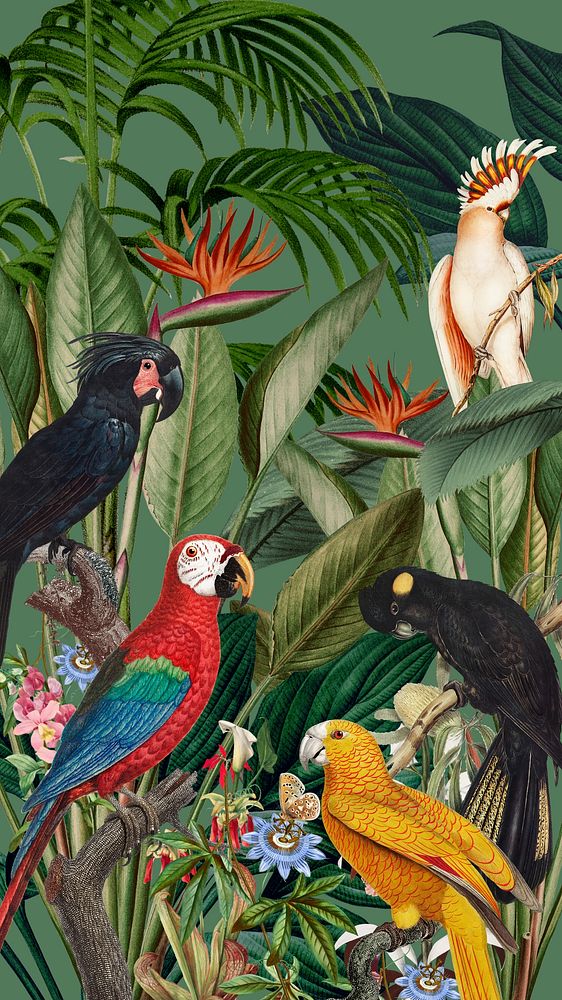 Exotic birds jungle  iPhone wallpaper. Remixed by rawpixel.
