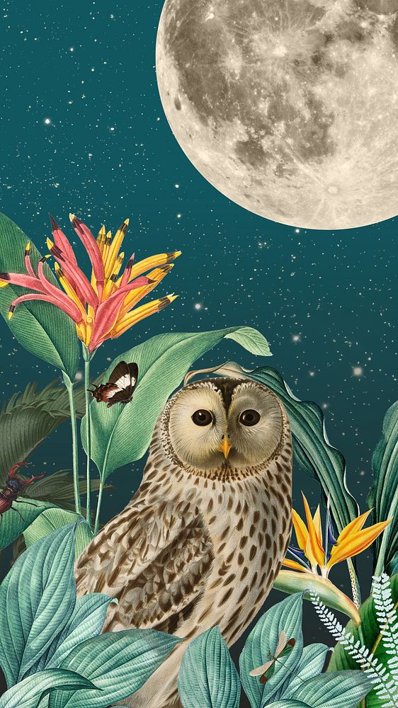 Night owl iPhone wallpaper, vintage animal illustration. Remixed by rawpixel.