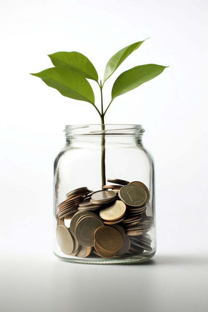 Plant coin jar money. AI generated Image by rawpixel.