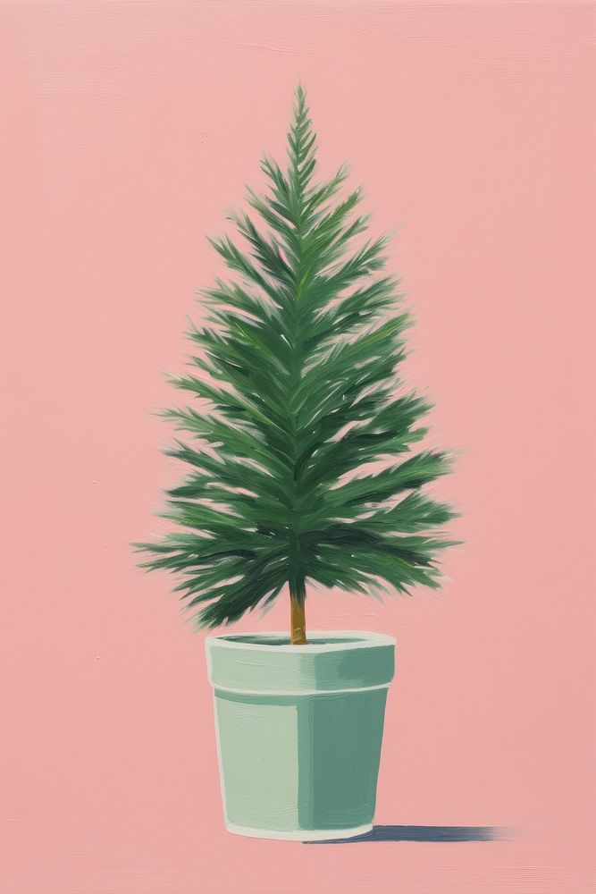 Christmas tree pot plant leaf fir. AI generated Image by rawpixel.