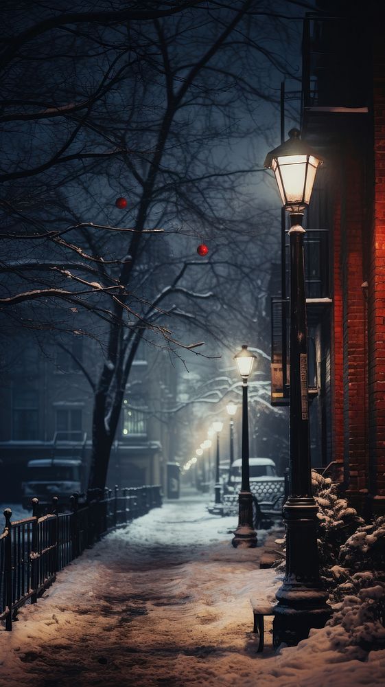 Christmas night street outdoors winter. 