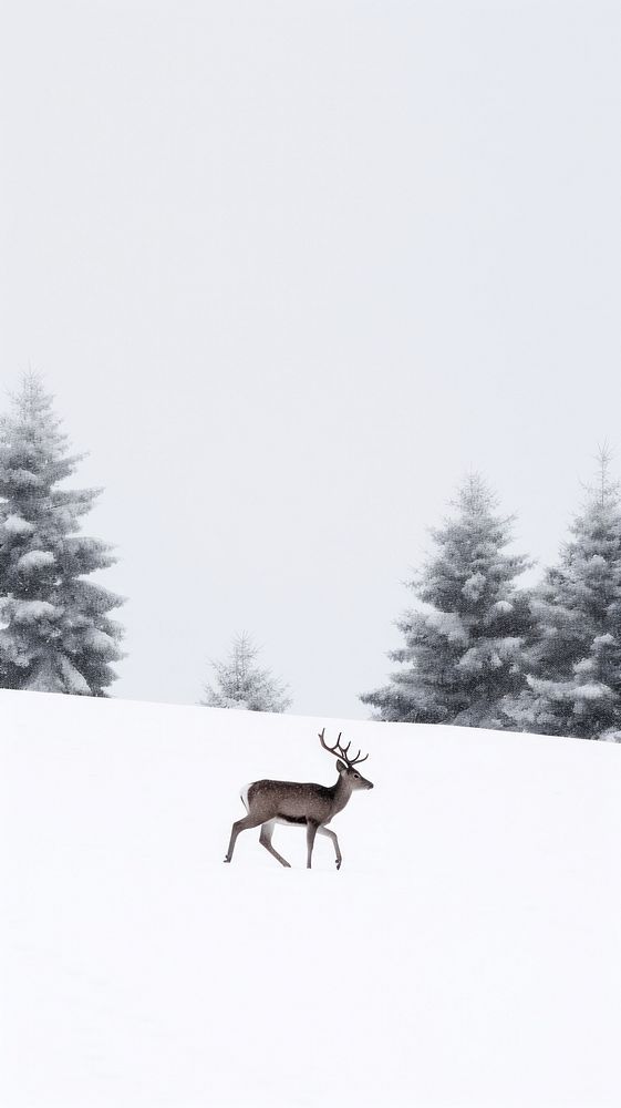 Deer running tree wildlife outdoors. AI generated Image by rawpixel.