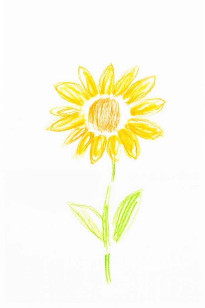 Sunflower drawing petal plant. AI generated Image by rawpixel.