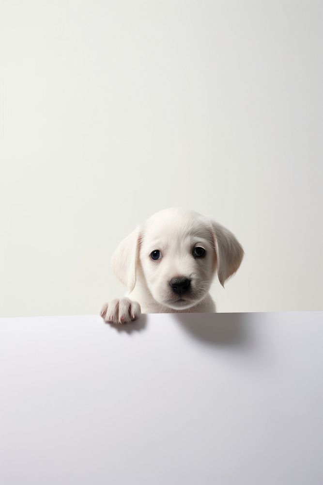 A puppy portrait animal mammal. AI generated Image by rawpixel.