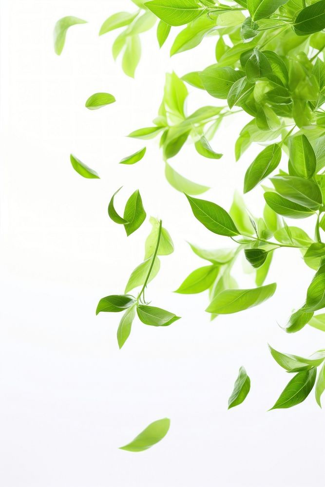 Organic fresh leaves backgrounds plant green. AI generated Image by rawpixel.