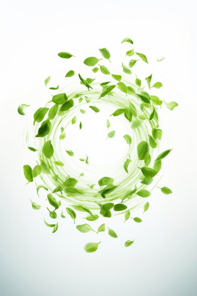 Organic fresh leaves circle plant green. AI generated Image by rawpixel.