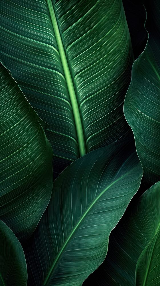 Tropical leaf green abstract plant. AI generated Image by rawpixel.