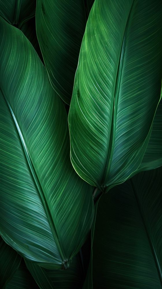 Tropical leaf green plant backgrounds. AI generated Image by rawpixel.
