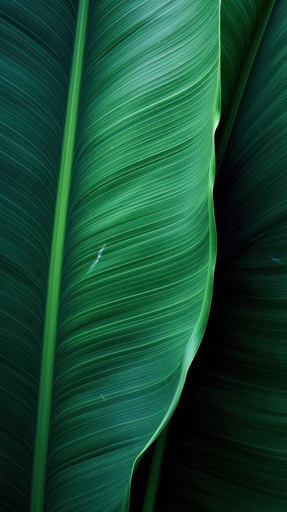 Tropical leaf green abstract plant. AI generated Image by rawpixel.
