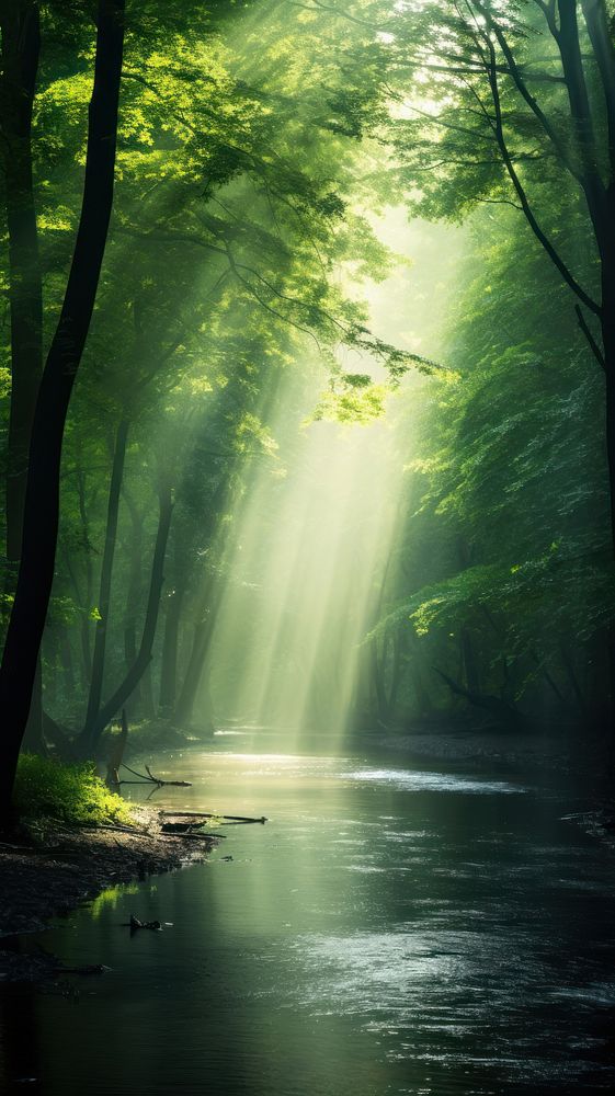Forest sunlight green landscape. AI generated Image by rawpixel.