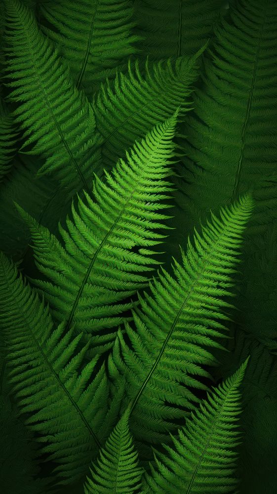 Green fern leaf green plant backgrounds. AI generated Image by rawpixel.