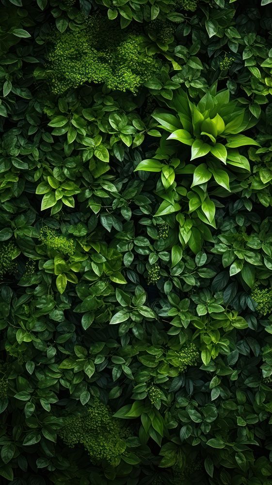 Natural nature forest plant. AI generated Image by rawpixel.
