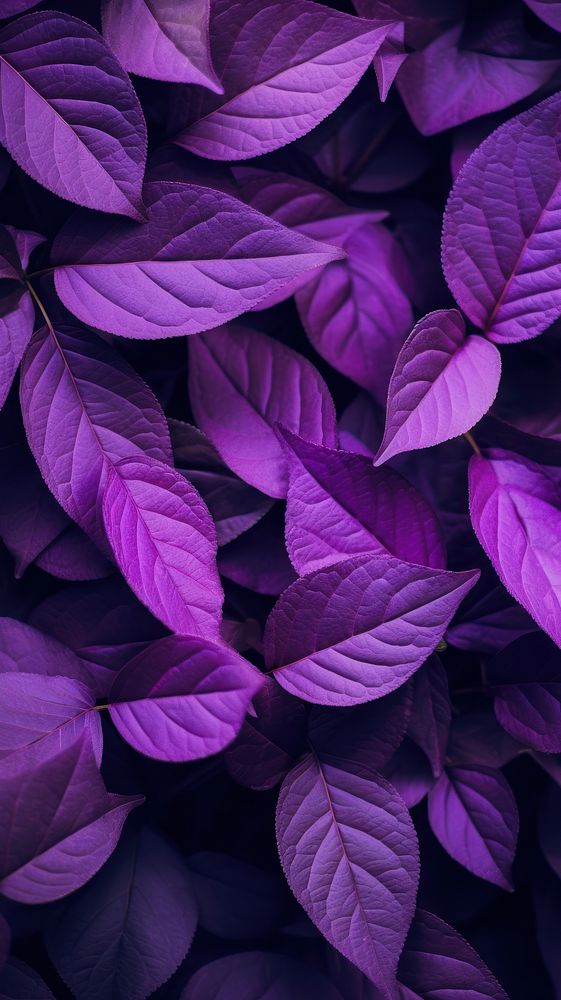 Nature purple backgrounds leaves. AI generated Image by rawpixel.