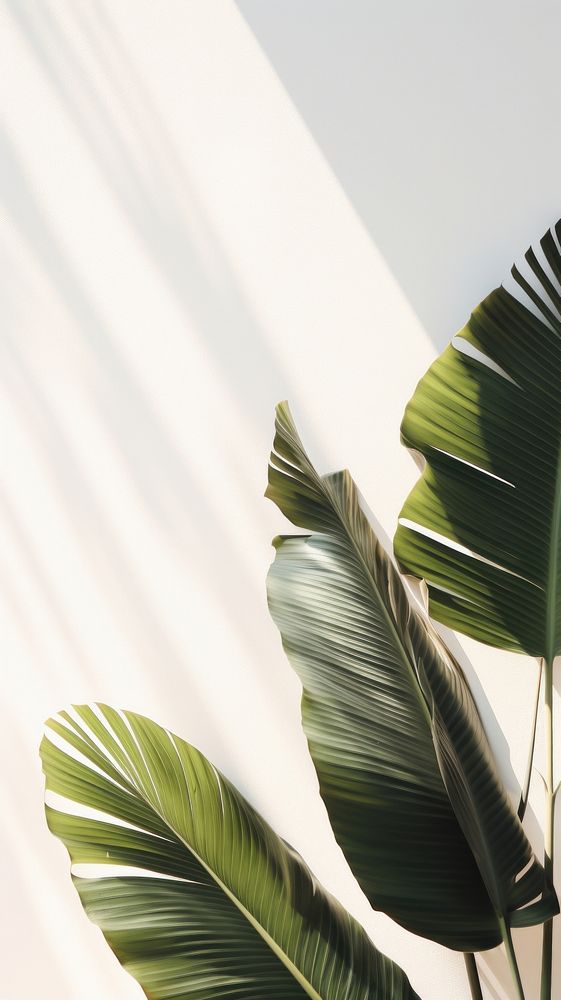 Banana leaves branch plant leaf. AI generated Image by rawpixel.