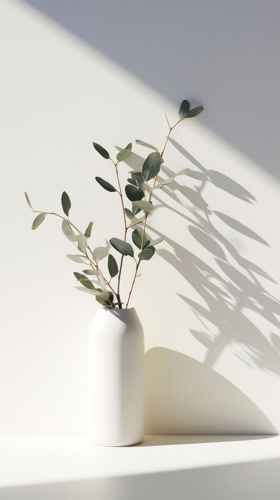 Eucalypthus shadow plant vase. AI generated Image by rawpixel.