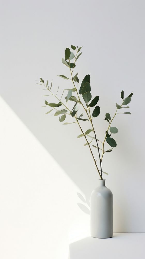 Eucalypthus plant leaf vase. AI generated Image by rawpixel.