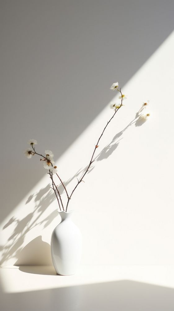 Flower vase plant white lighting. AI generated Image by rawpixel.
