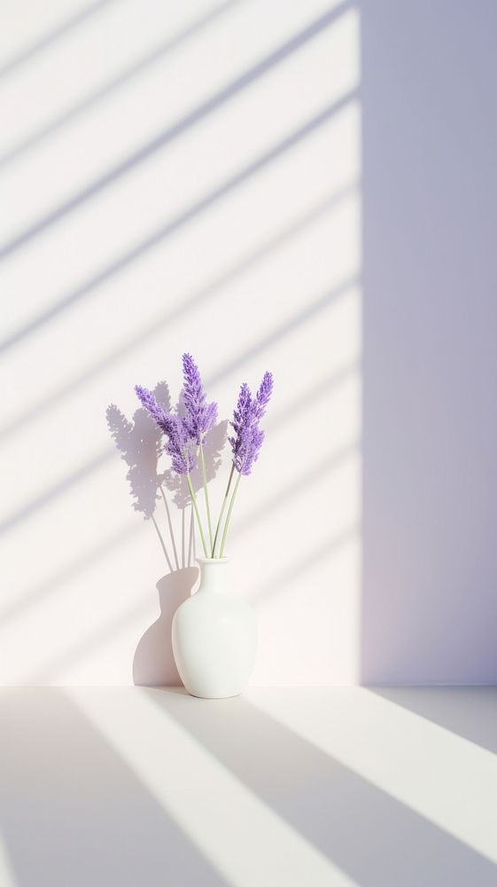 Lavender windowsill flower shadow. AI generated Image by rawpixel.