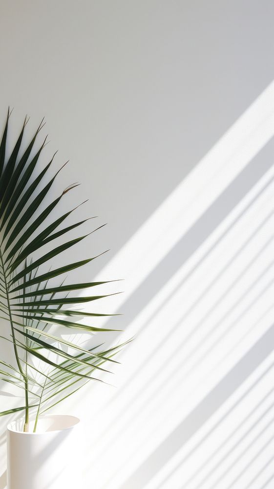 Palm leaves branches shadow plant leaf. AI generated Image by rawpixel.