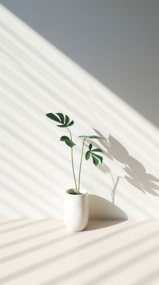Plant shadow leaf wall. AI generated Image by rawpixel.