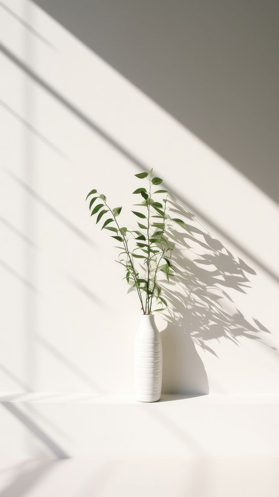 Plants windowsill shadow white. AI generated Image by rawpixel.