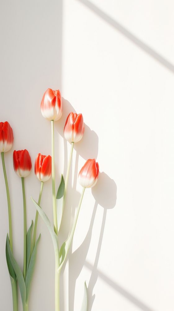Tulips flower petal plant. AI generated Image by rawpixel.