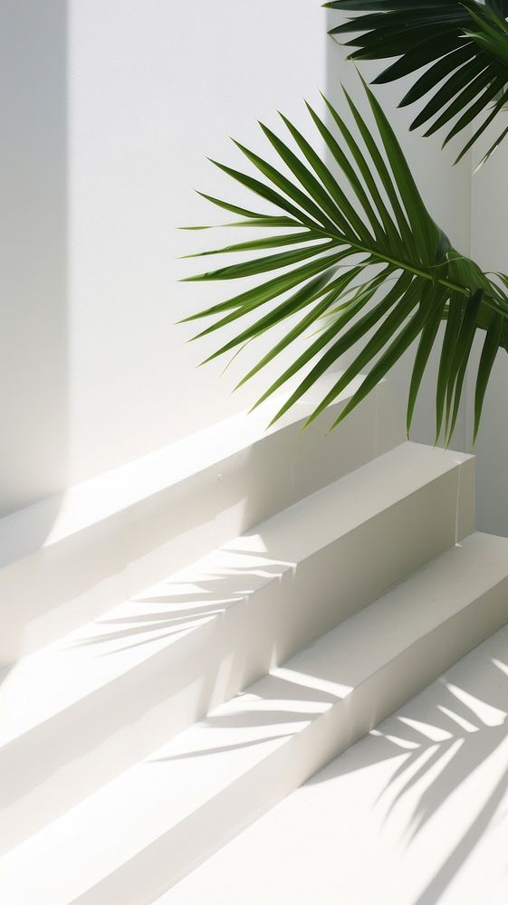 Tropical architecture shadow plant. AI generated Image by rawpixel.