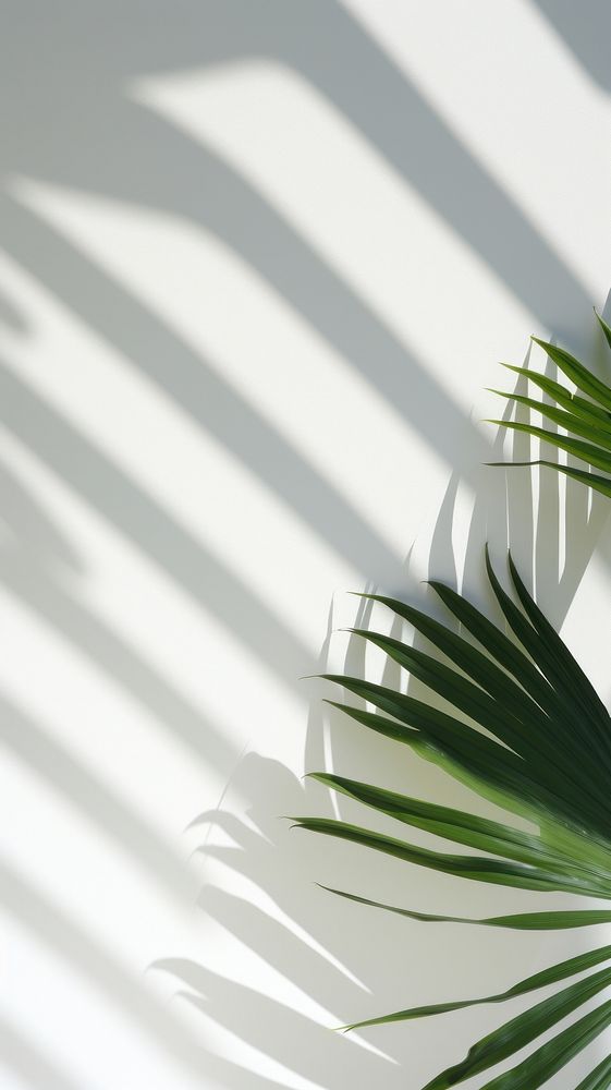 Tropical nature shadow plant. AI generated Image by rawpixel.