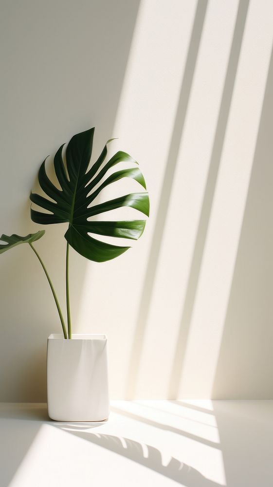 Tropical shadow plant white. AI generated Image by rawpixel.