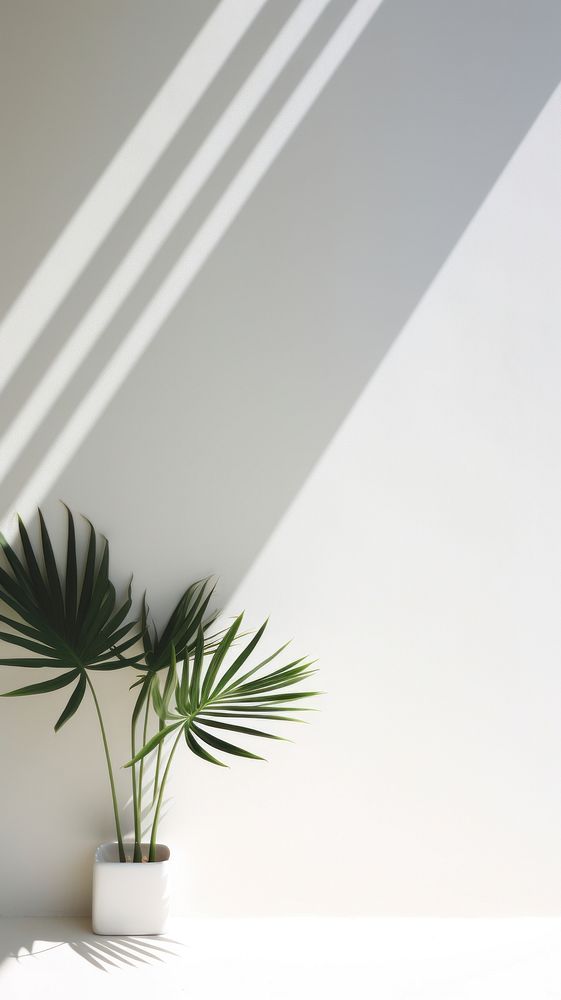 Tropical plant white leaf. AI generated Image by rawpixel.