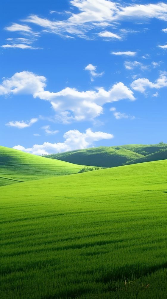 Green glass field nature sky backgrounds. AI generated Image by rawpixel.