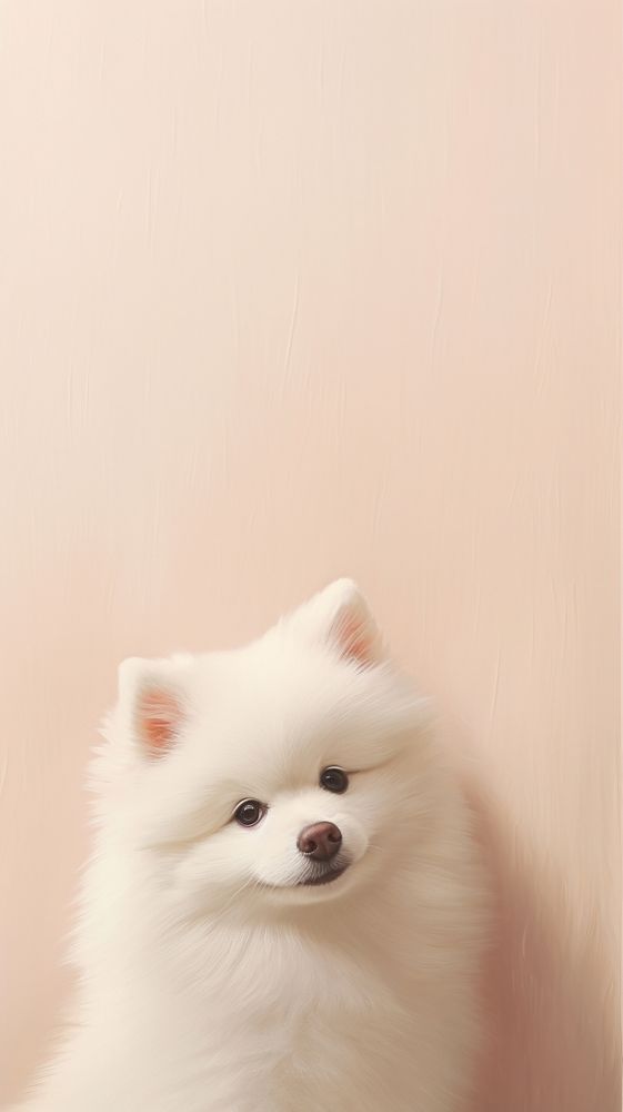 White dog mammal animal pet. AI generated Image by rawpixel.