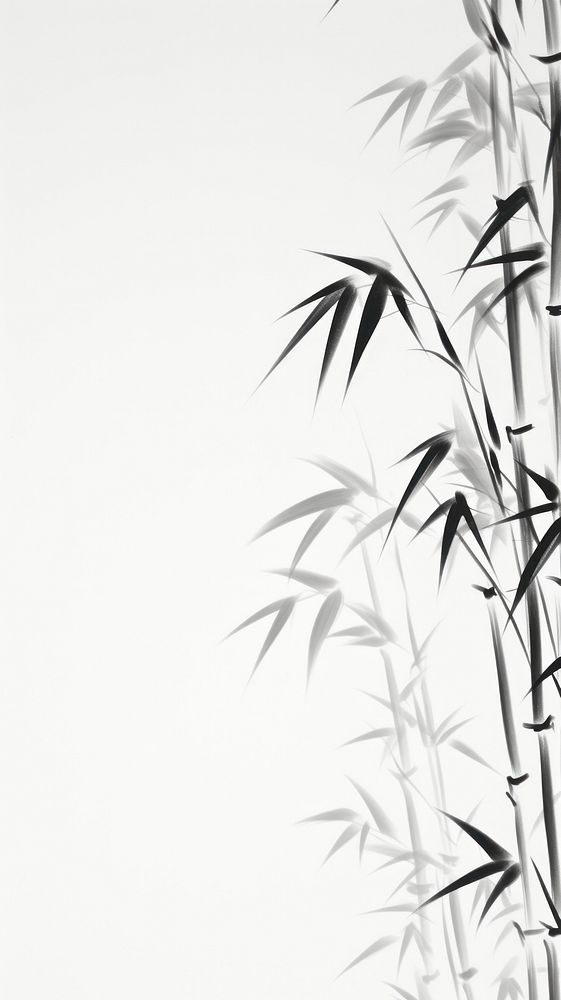 Bamboo leaves backgrounds plant pattern. 