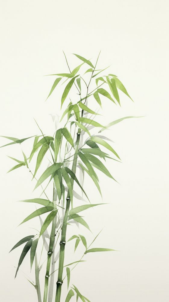 Bamboo leaves plant cannabis medicine. AI generated Image by rawpixel.