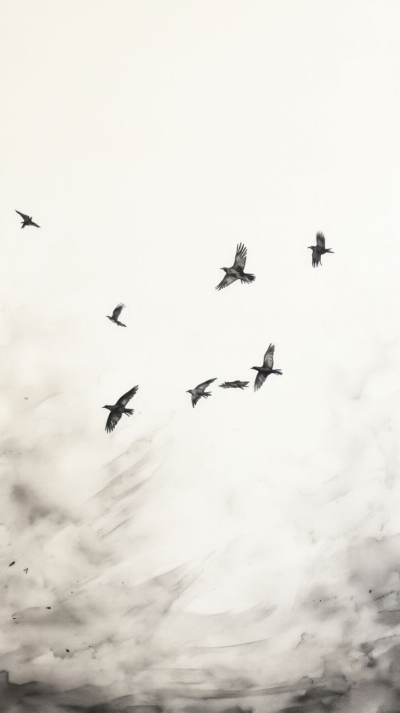 Flock of birds flying outdoors animal silhouette. AI generated Image by rawpixel.